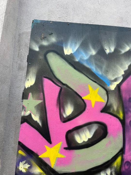 251023_Paajip_Graff-Camps_BP_Foix_4 copie