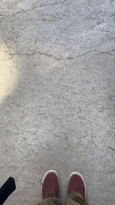 251027-31_Paajip_Sejour_Argeles_30