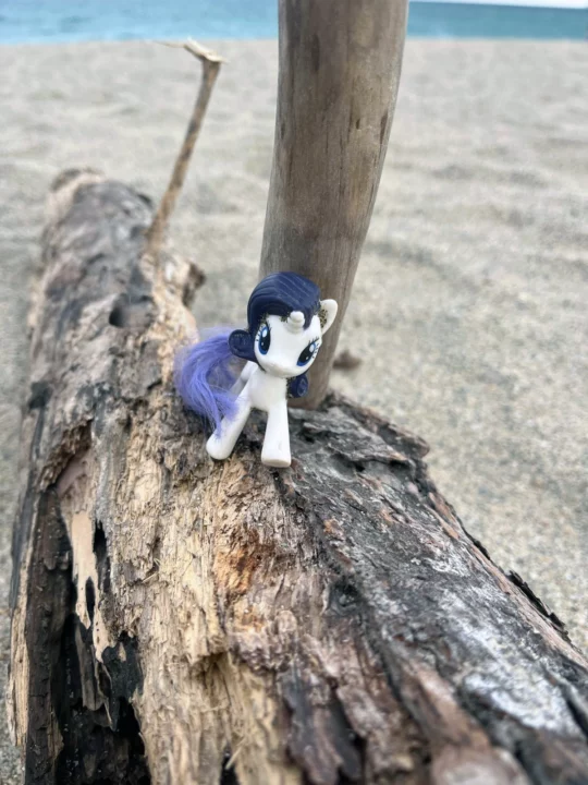 251027-31_Paajip_Sejour_Argeles_6 copie