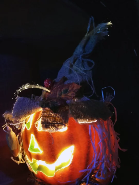 251029_Paajip_Soiree-Halloween_Verniolle_5 copie