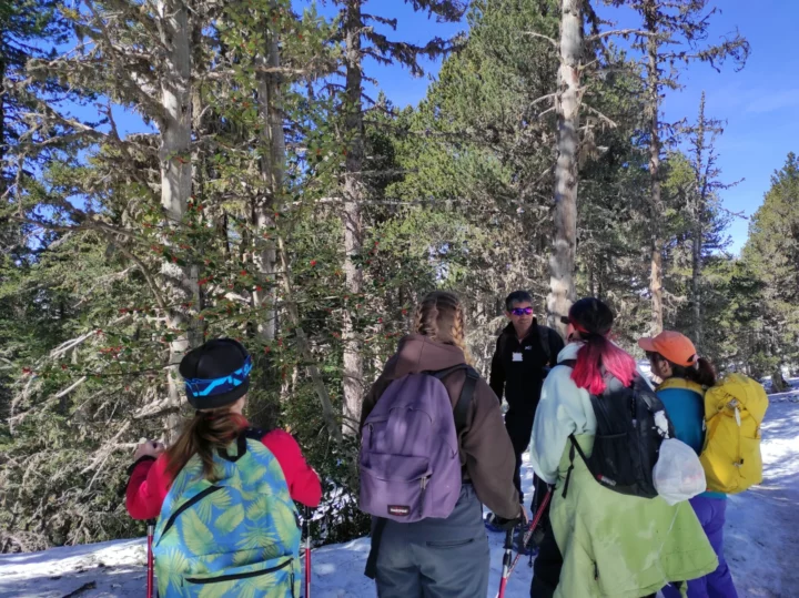 260313_Paajip_O2R_raquettes-Beille_2 copie