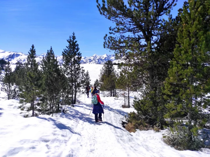 260313_Paajip_O2R_raquettes-Beille_3 copie