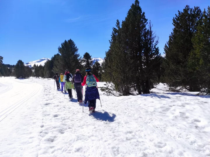 260313_Paajip_O2R_raquettes-Beille_4 copie